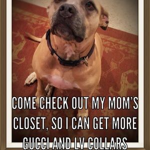 Come check out my closet for great deals!